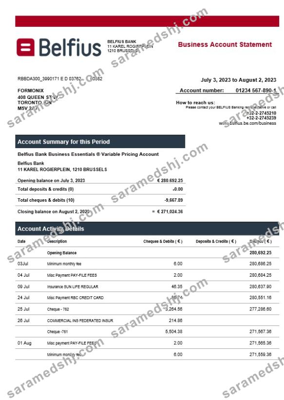 Belfius Bank enterprise statement Word and PDF template